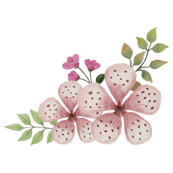 Flower bouquet, floral Clip art Element Transparent Background png