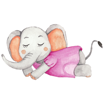 Cute elephant with a flower cartoon hand drawn Clip art Element Transparent Background png