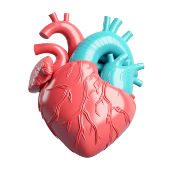 heart isolated on background with png