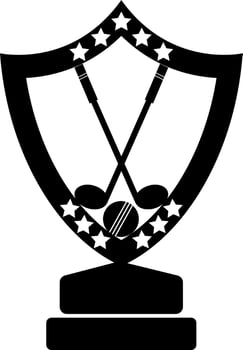 Hockey and ball in stars decorated shield trophy award. vector