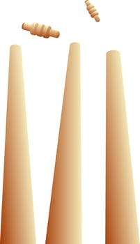 3D view of cricket stumps with bails. vector