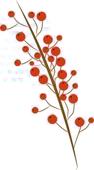 Illustration of holly berries in brown and red color. vector