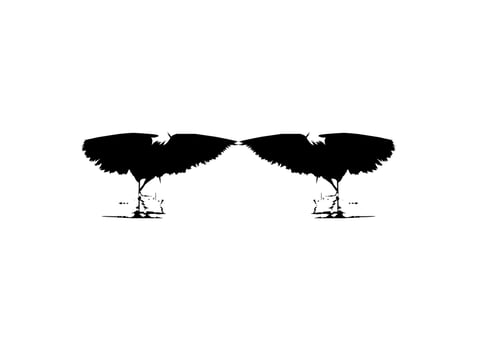 Pair of The Black Heron Bird, Egretta Ardesiaca, also known as the Black Egret Silhouette for Art Illustration, Logo, Pictogram, Website, or Graphic Design Element. Vector Illustration