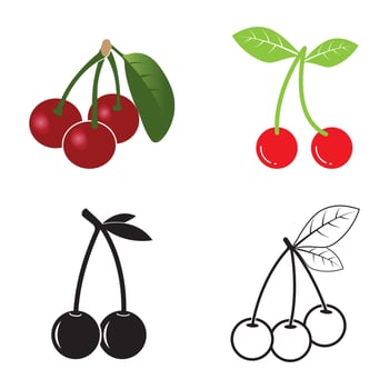 fresh cherry fruit icon vector
