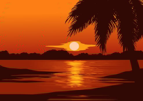 Tropical beach sunset vector background
