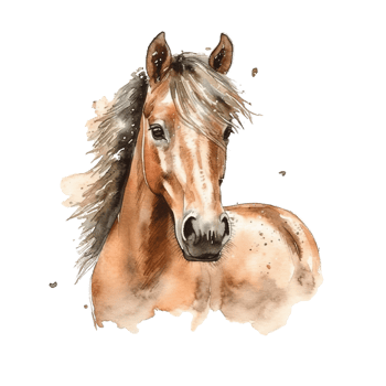 drawn illustration of adorable horse, clip art, digital art, HD, transparent background png