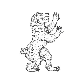 Bear medieval heraldic animal sketch emblem vector