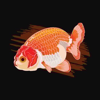 vector illustration goldfish