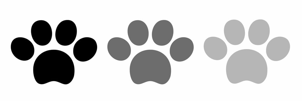 Footprint icon black white illustration collection. vector