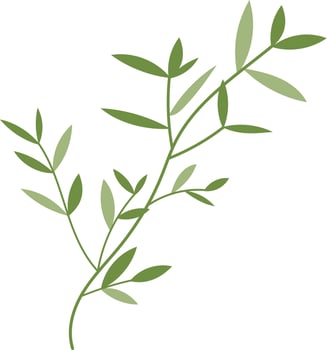 Organic Bamboo Leaves Trees Illustration vector