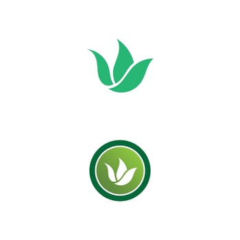 Tree leaf vector design eco friendly concept logo