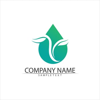 Water drop Logo Template vector