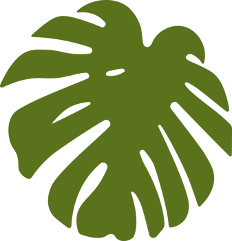 Monstera Leaf Shadow png