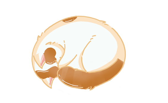 cute sleeping cat png