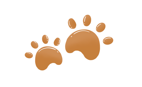 Cute cat footprints png