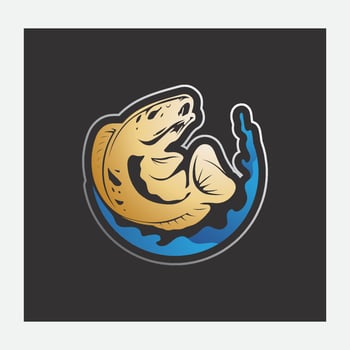 Channa Snakehead fish, Predator Fish, animal underwater design and illustration vector