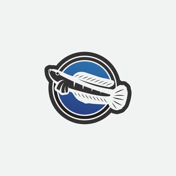 Channa Snakehead fish, Predator Fish, animal underwater design and illustration vector