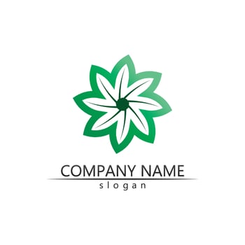 Tree leaf vector and green logo design friendly concept