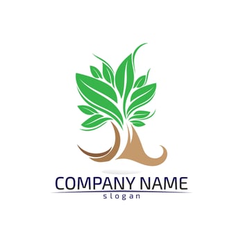 Tree leaf vector design eco friendly concept logo