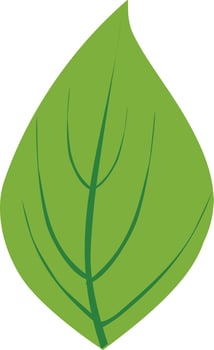 Green leaf icon in flat style. vector
