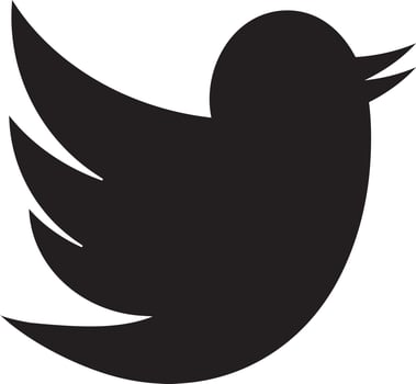 Flat twitter black bird on white background. vector