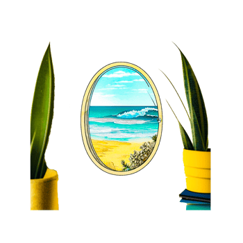 Dracaena trifaciata frame png