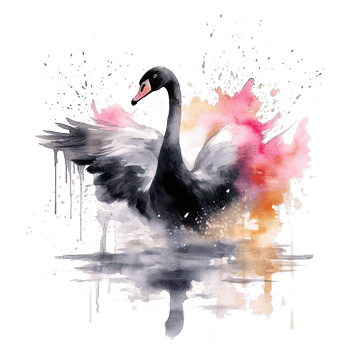 Watercolor black swan. Illustration png