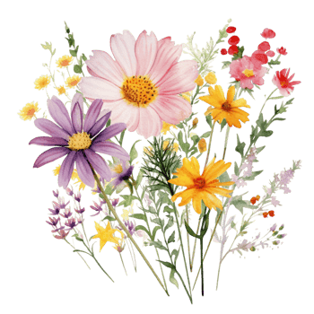 sweet watercolor wild flower bouquet, transparent background, isolated, no background, png