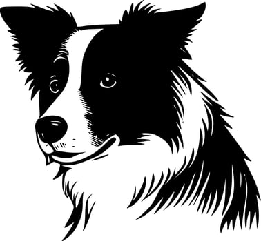 Border Collie, Black and White Vector illustration