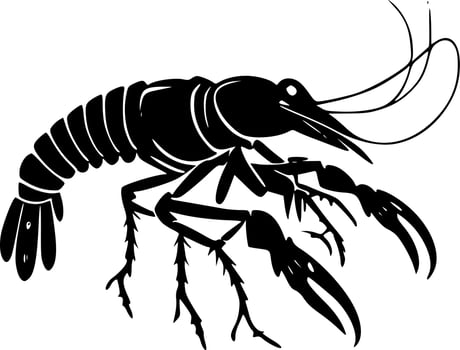 Crawfish, Black and White Vector illustration