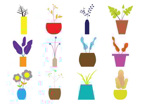 Abstract Flat Houseplant in Pots for Home Decoration and Interior. Home Plants in Flowerpot. Vector Collection
