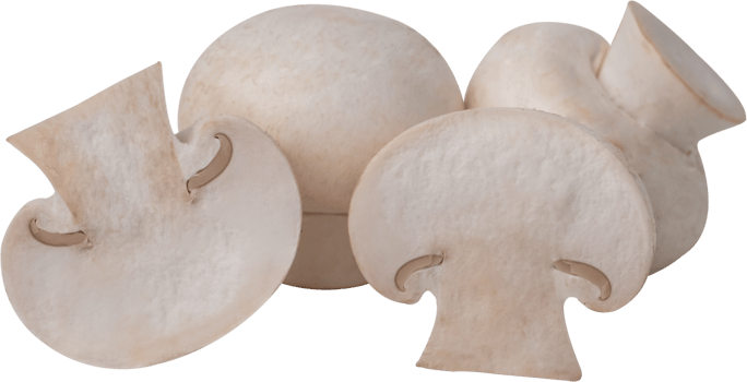 cremini mushroom cut out on transparent background. png