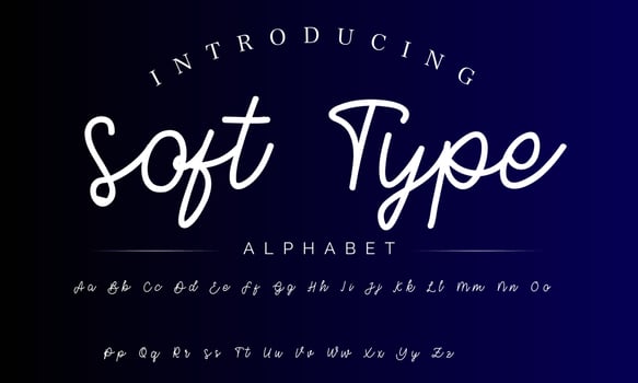 Signature Font Calligraphy Logotype Script Brush Font Type Font lettering handwritten vector