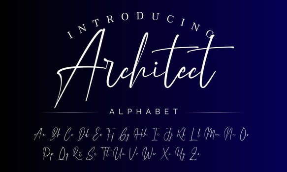 Signature Font Calligraphy Logotype Script Brush Font Type Font lettering handwritten vector