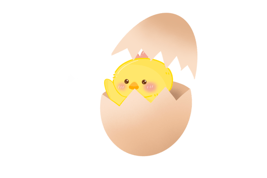 Chick in the egg png