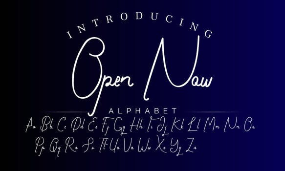 Signature Font Calligraphy Logotype Script Brush Font Type Font lettering handwritten vector