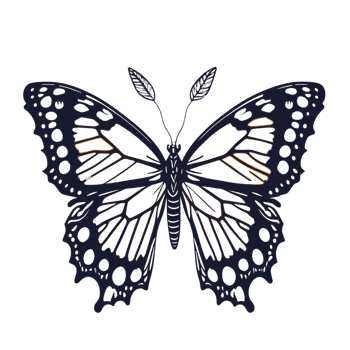 butterfly clipart, black butterfly on transparent background, butterfly  illustration png