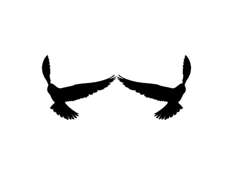 Silhouette of the Flying Pair Bird of Prey, Falcon or Hawk, for Logo, Pictogram, Website, Art Illustration, or Graphic Design Element. Vector Illustration
