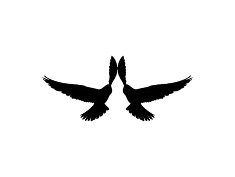 Silhouette of the Flying Pair Bird of Prey, Falcon or Hawk, for Logo, Pictogram, Website, Art Illustration, or Graphic Design Element. Vector Illustration