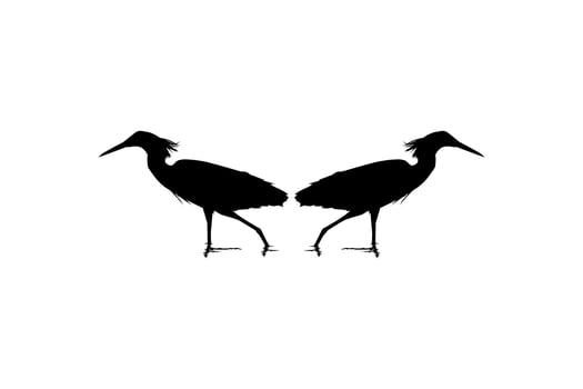 Pair of The Black Heron Bird, Egretta Ardesiaca, also known as the Black Egret Silhouette for Art Illustration, Logo, Pictogram, Website, or Graphic Design Element. Vector Illustration