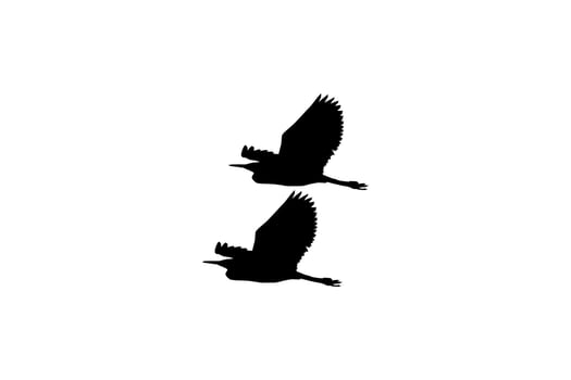Pair of The Black Heron Bird, Egretta Ardesiaca, also known as the Black Egret Silhouette for Art Illustration, Logo, Pictogram, Website, or Graphic Design Element. Vector Illustration