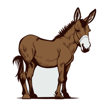 Donkey Cute, Png
