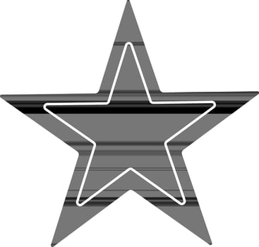 black and white star in flat style. vector