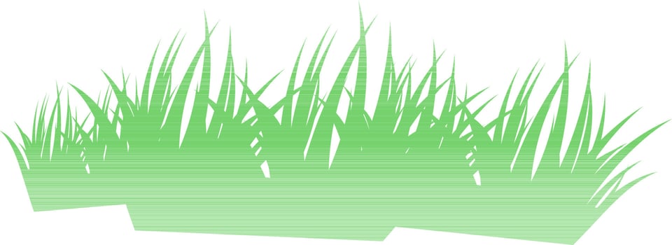 Illustration of green grass. vector