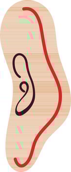 Ear icon in color style of human part. vector