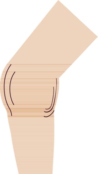 Symbol of knee icon of body part. vector