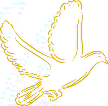 Flat illustration of a flying pigeon. vector
