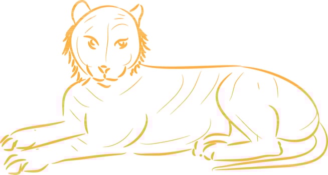 Flat line art illustration of tiger. vector