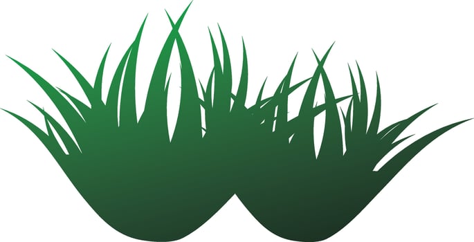 Shiny green grass on white background. vector