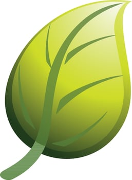 Flat style glossy green leaf. vector